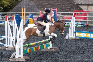 Class 3 -  Fences not above 2'3